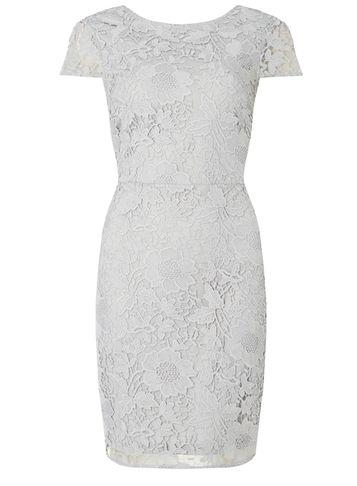 Dorothy Perkins Grey Lace Pencil Dress