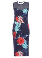 Dorothy Perkins *quiz Navy And Red Mesh Bodycon Dress
