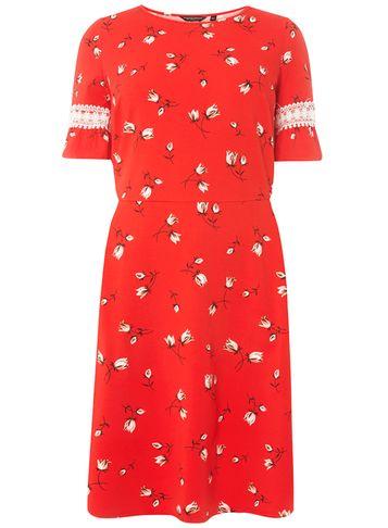 Dorothy Perkins Dp Curve Red Floral Print Fit And Flare Dress