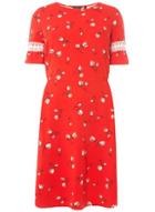 Dorothy Perkins Dp Curve Red Floral Print Fit And Flare Dress