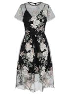 Dorothy Perkins *chi Chi London Black Floral Embroidered Midi Skater Dress