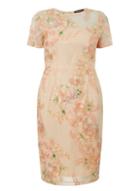 Dorothy Perkins Apricot Floral Embroidered Pencil Dress