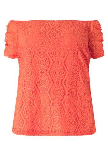 Dorothy Perkins Dp Curve Coral Lace Bardot Top