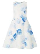 *luxe Blue Floral Print Dress