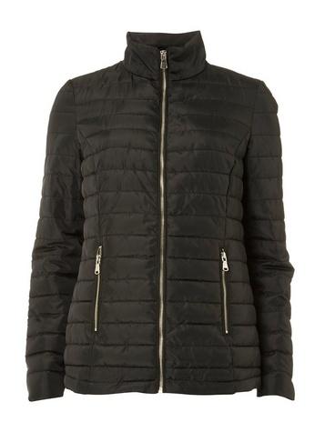 Dorothy Perkins Black Lightweight Short Padded Jacket