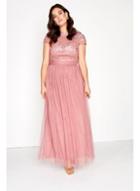 Dorothy Perkins *little Mistress Curve Pink Lace Top Maxi Dress