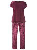 Dorothy Perkins Burgundy Velvet Raglan Sleeve Pyjama Set