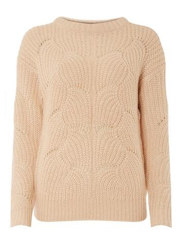 Dorothy Perkins Blush Lofty Jumper