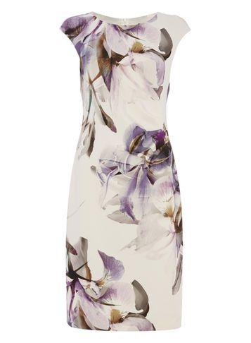 Dorothy Perkins *roman Originals Ivory Pastel Scuba Dress