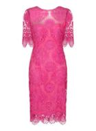 Dorothy Perkins *paper Dolls Pink Lace Short Sleeve Pencil Dress