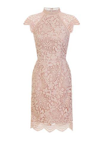 Dorothy Perkins *chi Chi London Mink Crochet Bodycon Dress