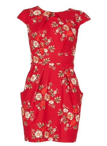 Dorothy Perkins *blue Vanilla Red Floral Print Bodycon Dress