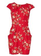 Dorothy Perkins *blue Vanilla Red Floral Print Bodycon Dress