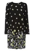 Dorothy Perkins *roman Originals Black Floral Print Shift Dress