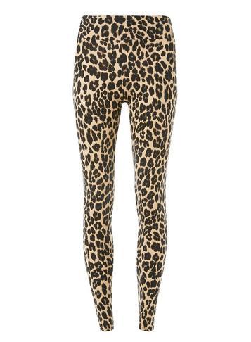 Dorothy Perkins Multi Coloured Leopard Print Leggings