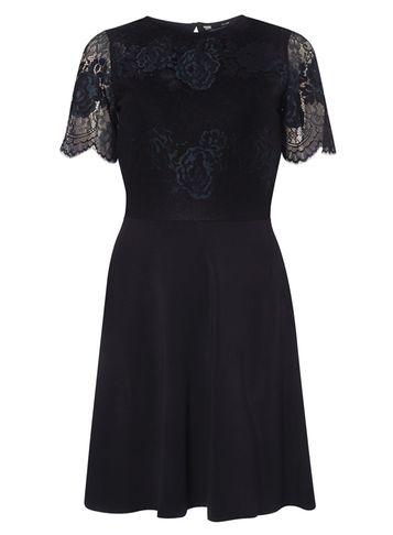 Dorothy Perkins Black And Blue Lace Skater Dress