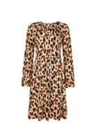 Dorothy Perkins Brown Animal Print Fit And Flare Dress