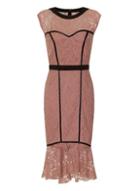 Dorothy Perkins *paper Dolls Soft Lace Panel Detail Bodycon Dress