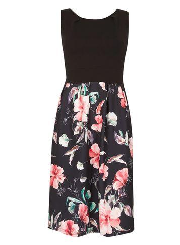 Dorothy Perkins *feverfish Black Floral Pleated Dress