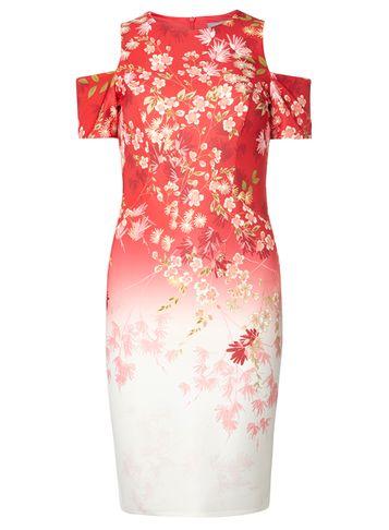 Dorothy Perkins Petite Ombre Floral Dress