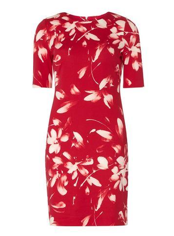 Dorothy Perkins *lily & Franc Pink Floral Shift Dress