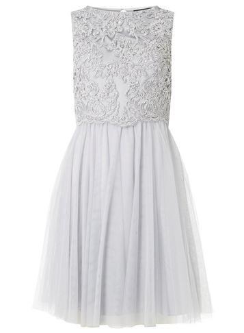 Dorothy Perkins *showcase Dove Grey Lola Dress