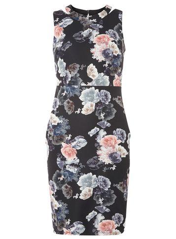 Dorothy Perkins Black Floral Scuba Zip Dress
