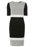 Dorothy Perkins Grey And Black Panelled Bodycon Dress