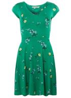 Dorothy Perkins Petite Green Ditsy Print Swing Dress