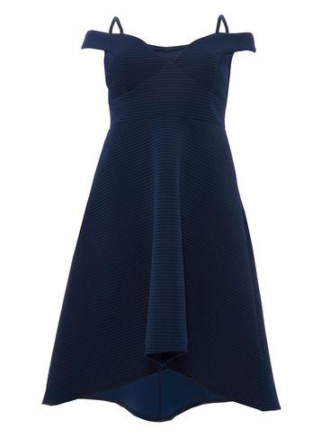 Dorothy Perkins *quiz Curve Navy Striped Skater Dress