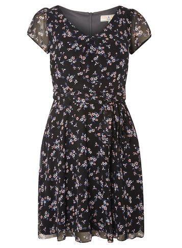 Dorothy Perkins *billie & Blossom Petite Ditsy V Neck Dress