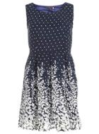 Dorothy Perkins *blue Polka Flower Print Dress