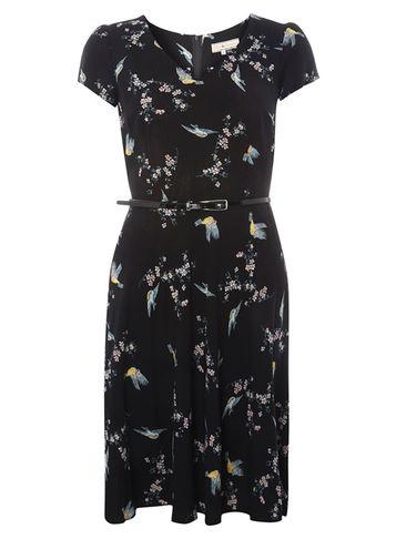Dorothy Perkins *billie & Blossom Multicoloured Bird Print Skater Dress