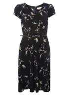 Dorothy Perkins *billie & Blossom Multicoloured Bird Print Skater Dress