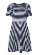 Dorothy Perkins Black Striped Skater Dress