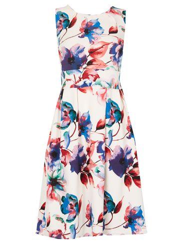 Dorothy Perkins *feverfish Royal Blue Floral Dress