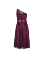 *showcase Petite Oxblood Wendal Midi Dress