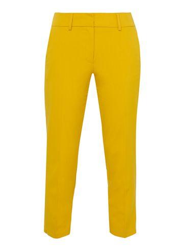 Dorothy Perkins Petite Ochre Naples Ankle Grazer Trousers