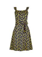 Dorothy Perkins Multi Colour Tie Waist Fit And Flare Dress
