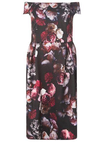 Dorothy Perkins Dp Curve Fit And Flare Bardot Dress