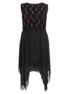 *quiz Curve Black Lace Hanky Skater Dress