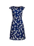 Dorothy Perkins *blue Mono Butterfly Printed Dress