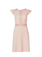 Dorothy Perkins *pink Blush Trim A-line Dress
