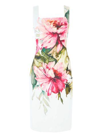 Dorothy Perkins *roman Originals Cream Floral Print Shift Dress