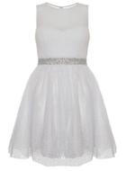 Dorothy Perkins *quiz Chiffon Glitter Prom Dress