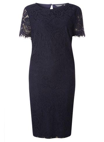 Dorothy Perkins *tall Navy Lace Shift Dress