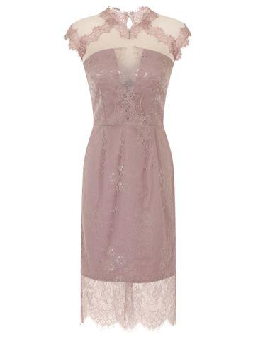 Dorothy Perkins *little Mistress Mink Lace High Neck Dress