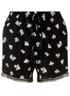 Dorothy Perkins Black Floral Print Lace Trimmed Shorts