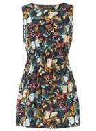 Dorothy Perkins *mela Navy Butterfly Print Dress