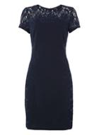 Dorothy Perkins *roman Originals Navy Sequin Lace Dress